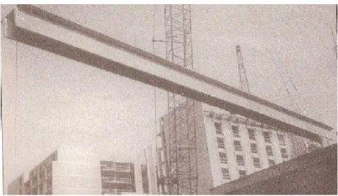 Fig. 5 – Laje em duplo T com 39 m de comprimento [2] . 