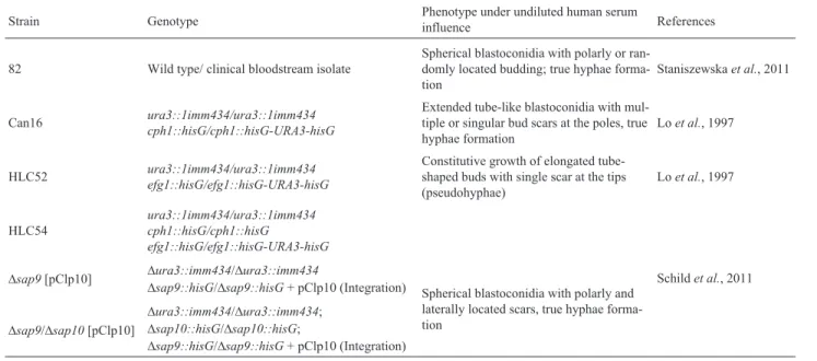 Table 1 - Candida albicans strains used in the current study.