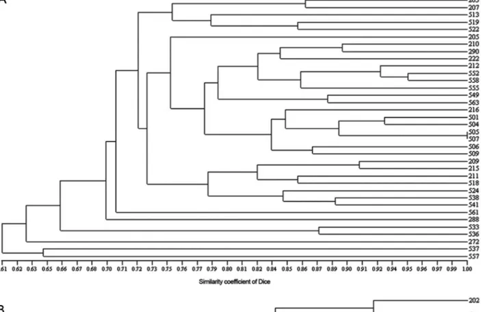 Figure 4 - Cluster analysis of Klebsiella pneumoniae isolates based on RAPD typing with primers AP4, using similarity coefficient of Dice