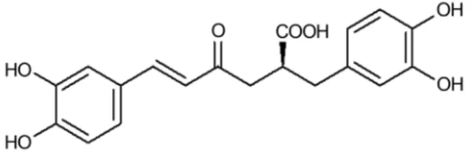 Figure 1 - Chemical structure of rosmarinic acid.