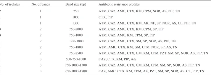 Table 2 - Distribution of variable region fragments sizes among class1 integron carrying ESBL producing K