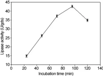 Figure 1 - Effect of incubation time on lipase activity.