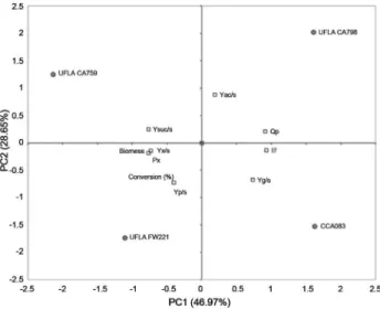 Figure 2 - Principal component analysis (PCA) of the kinetic parameters of 19 S. cerevisiae strains in sugar cane juice.
