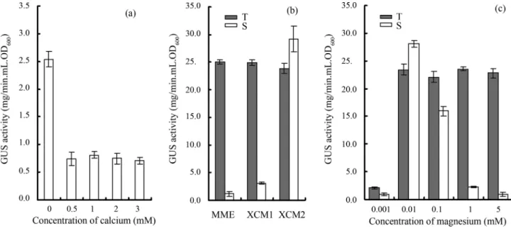 Figure 5 - Effect of different concentrations of calcium and magnesium on the b-Glucuronidase (GUS) activities of Xanthomonas campestris pv.