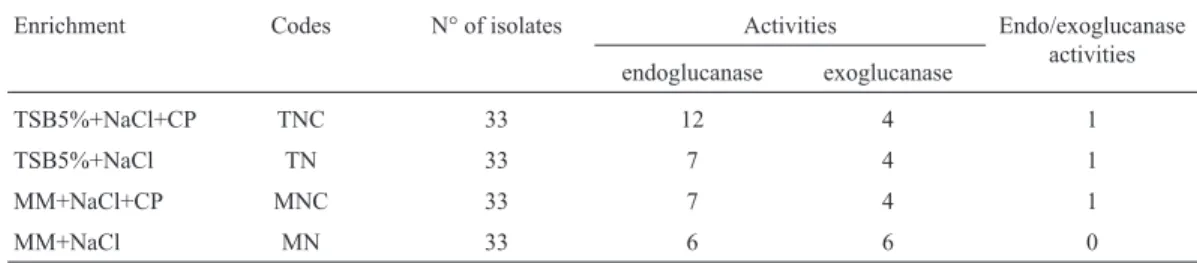 Table 1 - Composition of the collection of bacterial isolates used in genotypic characterization and the production of cellulases