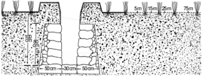 Figure 1 - Open drainage ditch and sampling sites.