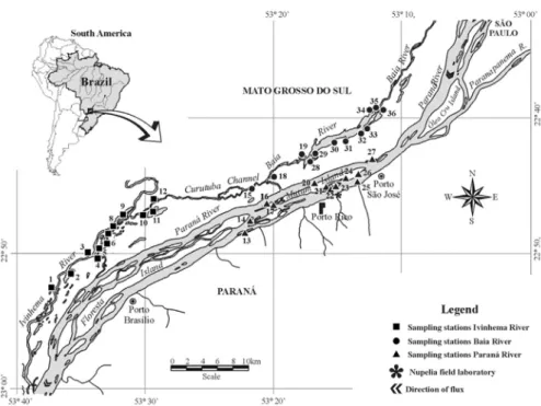 Figure 1 - Sampling sites 1) Peroba Lake; 2) Ventura Lake; 3) Zé do Paco Lake; 4) Ipoitã Channel; 5) Boca do Ipoitã Lake; 6) Patos Lake; 7) Capivara Lake; 8) Ivinhema River; 9) Finado Raimundo Lake; 10) Jacaré Lake; 11) Sumida Lake; 12) Cervo Lake; 13) Cor