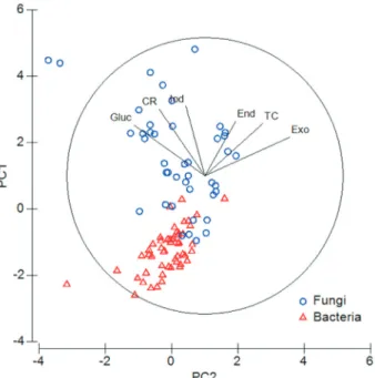 Table 1b shows the characterization of the different groups of bacteria. Group 1 comprises the strains with higher values of endoglucanase activity