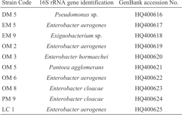 Table 2 - Summary of the 16S rDNA sequences from some bacterial strains with plant growth promoting properties.