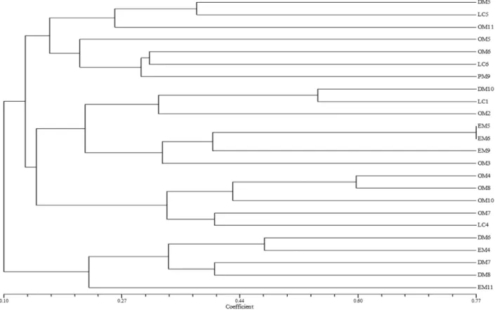 Figure 2 - Dendrogram showing the similarity co-efficient of Mud volcano &amp; Lime cave isolates based on ARDRA analysis using HpaII and MspI Re- Re-striction Enzymes.