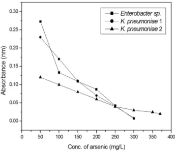 Figure 1 - Effect of different concentrations of arsenic on the growth of Enterobacter sp., Klebsiella pneumoniae 1 and Klebsiella pneumoniae 2.