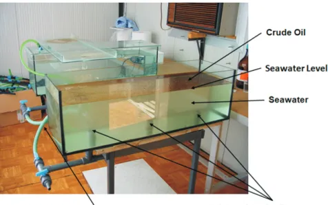 Figure 1 - Schematic representation of the microcosm used through the study.