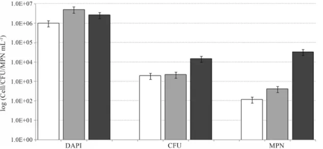 Figure 3 - Relative abundance (%) of principal bacterial class obtained with 16S crDNA clone libraries at time zero (white bars) and after 20 days of ex- ex-perimentation in SW+OIl (grey bars) and SW+OIL+EPS 2003 (dark grey bars) system