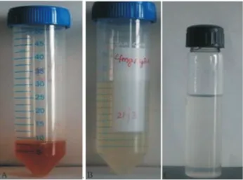 Figure 1 - (a) Colour change in AgNO 3 solution after addition of 5 mL (0.4%w/v) extract and 5 mL of 1.5 M NaOH (b) Natural biowaste peel  ex-tract of P