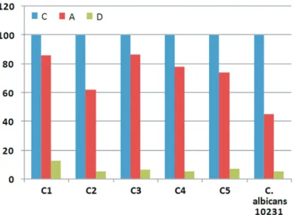 Figure 2 - Effects of sodium diclofenac (D) and aspirin (A) on germ tube formation by Candida albicans strains