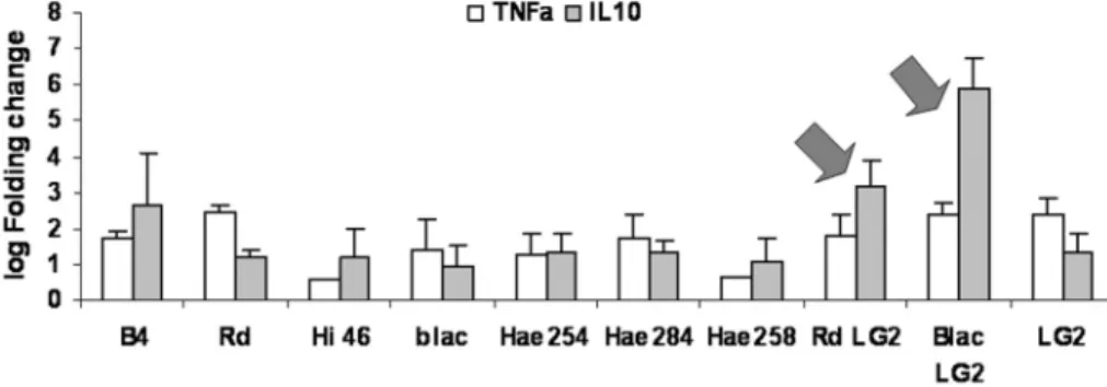 Figure 2 - Expression of tumor necrose factor alpha – TNFa (white bars) and interleukin 10 – IL10 (gray bars)