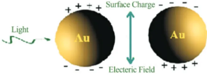 Figure 5 - Schematic representation of surface plasmon oscillation under the effect of an electromagnetic field.
