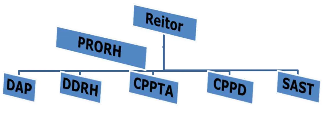 Figura 4: Estrutura de RH na UFMG de 2000 a 2006. 