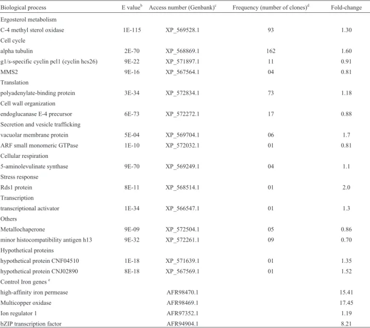 Table 1 - Summary of the computational analysis of the transcripts obtained from C. gattii grown in a low iron medium for 3 h at 37 °C Biological process E value b Access number (Genbank) c Frequency (number of clones) d Fold-change Ergosterol metabolism