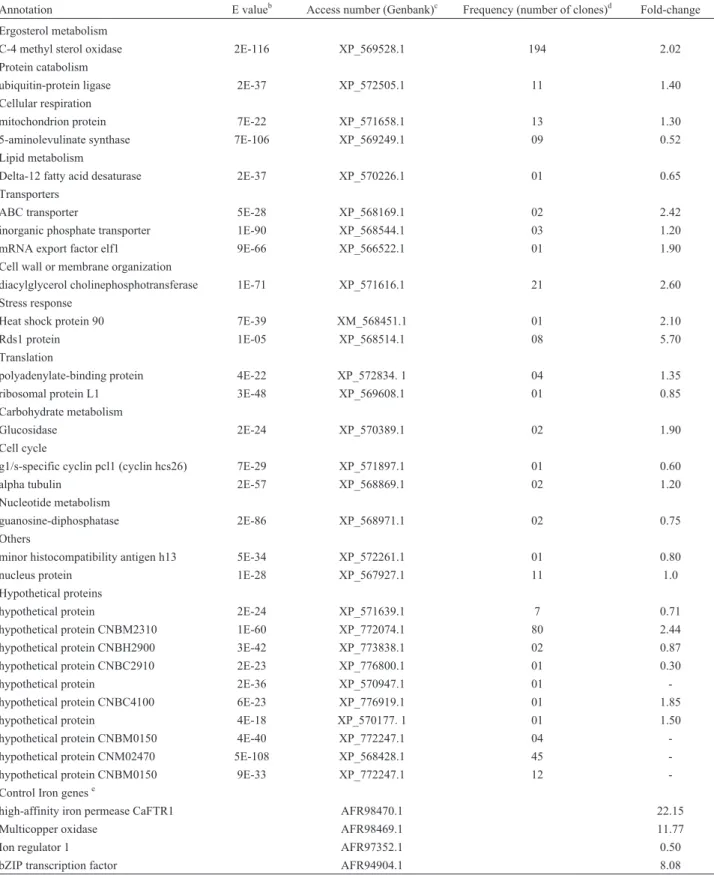 Table 2 - Summary of computational analysis a of the transcripts obtained from C. gattii grown in low iron medium for 12 h at 37 °C.