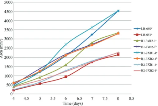 Figure 3 - Mycelium growth curves of Pleurotus spp. Strains (variance does not exceed 5% of the means)