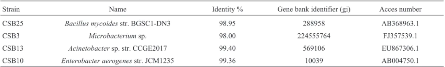 Table 1 - Molecular identification of four CSB with larger values of HS production.