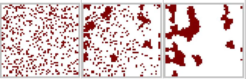 Figure 3.1. Deterministic evolution to a fixed point, starting from an initial random state population