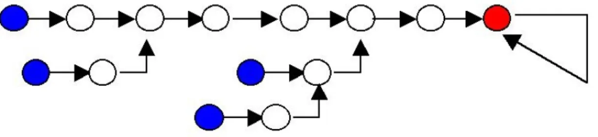 Figure 1.4. Independent evolutions, cycles and fixed points. 