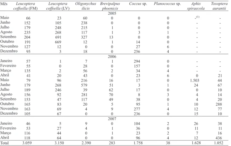 Tabela 2. Abundância mensal de Leucoptera coffeella (FM, folhas minadas;  LV, larvas vivas), Oligonychus ilicis, Brevipalpus  phoenicis, Coccus sp., Planococcus sp., Aphis spiraecola e Toxoptera aurantii, em Coffea arabica cv