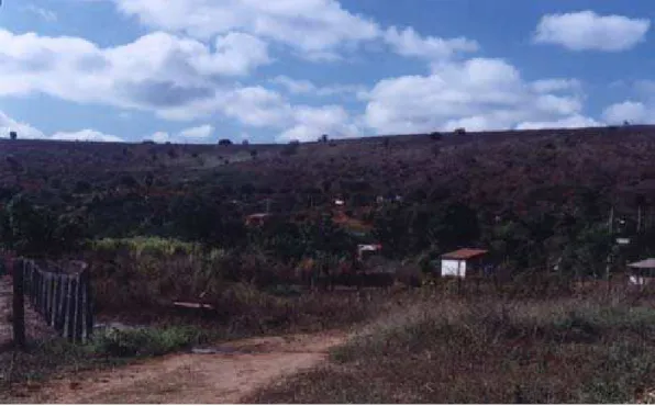 FIGURA 2. Vista parcial da agrovila do assentamento em maio de 2003 (observar a cobertura vegetal em  estado de recomposição)