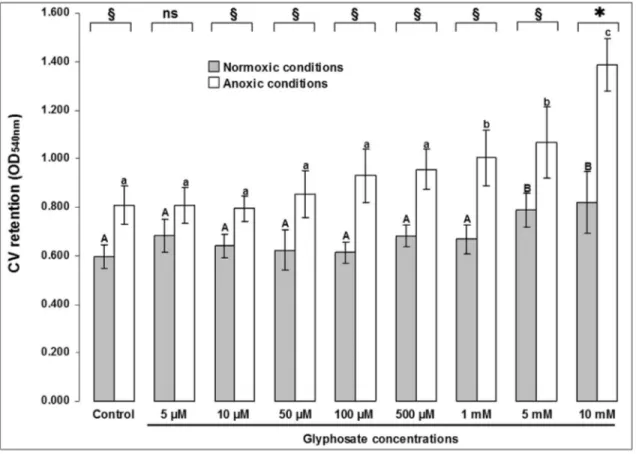 Figure 2 - Differential growth of 36 h-biofilms of P. aeruginosa ATCC ® 15442 ™ in different concentrations of glyphosate and in normoxic/anoxic con- con-ditions