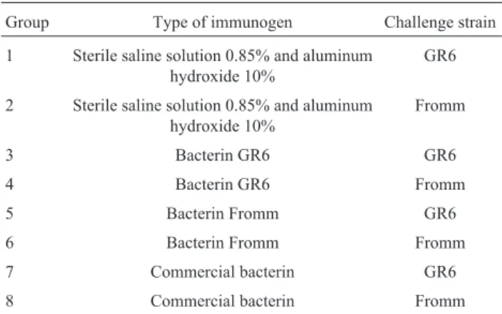 Table 1 - Hamsters submitted to the potency test of anti-leptospirosis bacterin according to the type of immunogen, theLeptospira strain used in the challenge and the identification number of the experimental group.