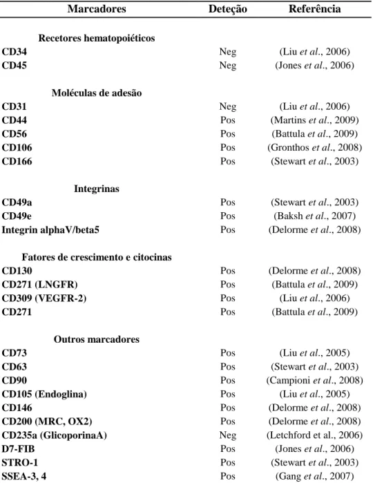 Tabela 3: Principais marcadores celulares utilizados na deteção de MSCs da medula óssea  [tabela adaptada de Pountos et al