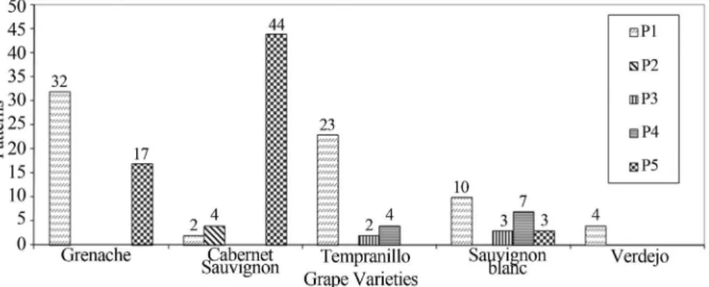Figure 4 - Patterns generated by mitochondrial DNA-RFLP with HinfI re- re-striction endonuclease of indigenous Saccharomyces cerevisiae and  com-mercial strains