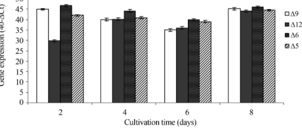Figure 7 - Gene expression (40-DCt) of desaturase encoding gene by Real-time PCR analysis