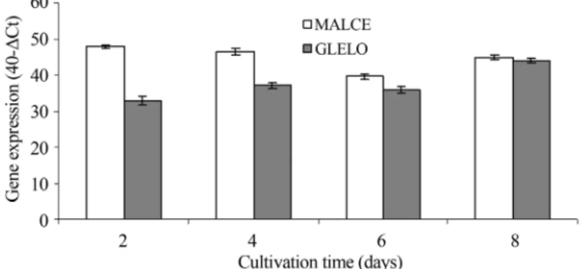 Figure 9 - Gene expression (40-DCt) of malic enzyme encoding gene by Real-time PCR analysis