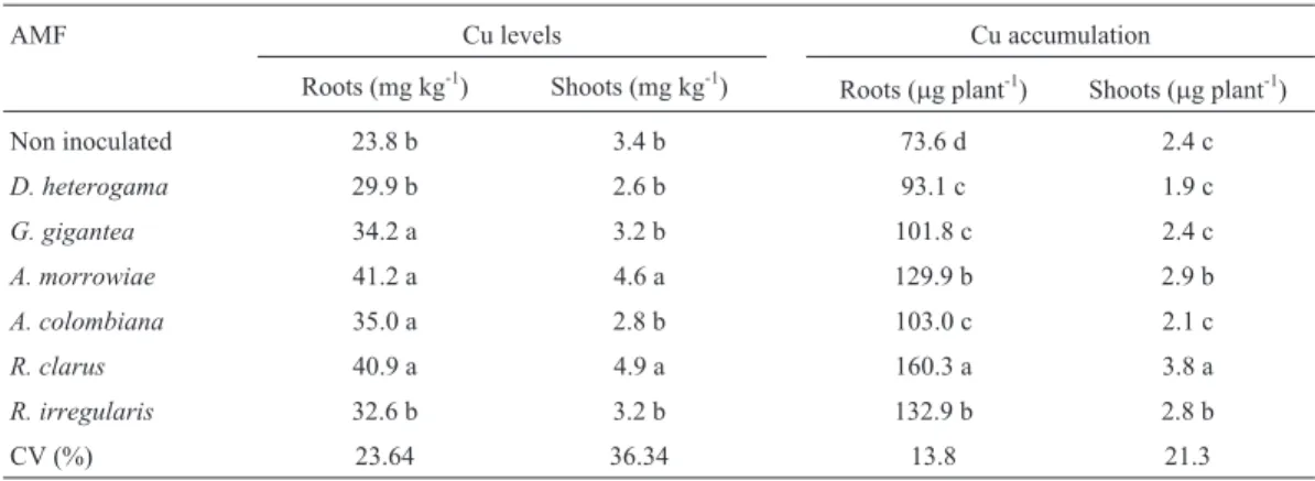 Table 3 - Root and shoot Cu levels and accumulation in young vines of the P1103 rootstock with and without AMF inoculation in soil with high Cu levels.