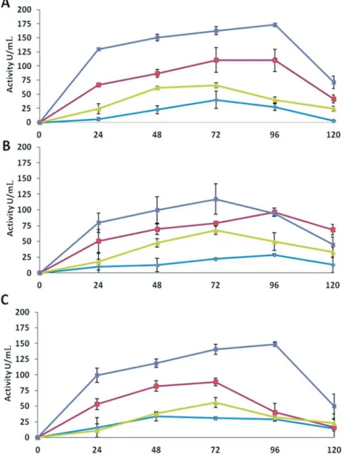 Figure 1 - Chitinase activities of the extracellular protein extracts of Trichoderma in different media over an incubation period of 120 h