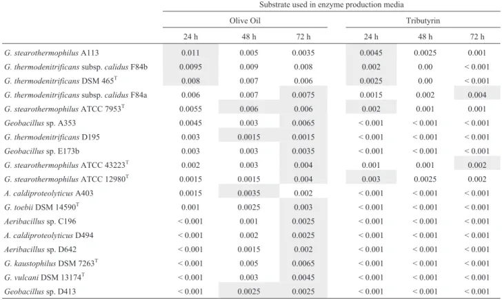 Table 3 - The qualitative lipase activities of the isolates and reference strains in olive oil and tributyrin broths per cell yields (U/mg) during 24, 48 and 72 h (High activities were marked with grey).