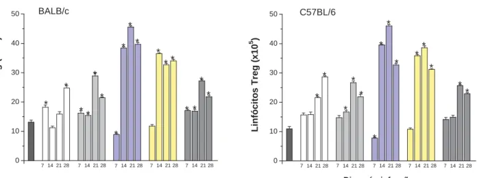Figura 6 – Determinação das subpopulações de linfócitos CD4+ CD25+ Foxp3+ obtidos do  baço de camundongos BALB/c e C57BL/6 infectados com amostras de Y
