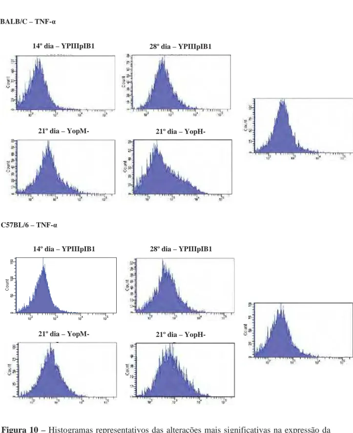 Figura 10 – Histogramas representativos das alterações mais significativas na expressão da  citocina TNF- Į por linfócitos T CD4+ durante infecção com amostras de Y
