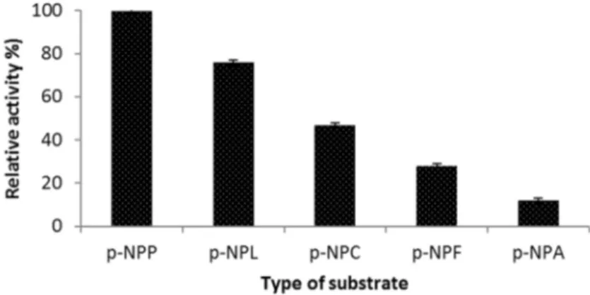 Figure 7 - Substrate specificity of the lipase. The substrates used were p-nitrophenyl palmitate (p-NPP), p-nitrophenyl laurate (p-NPL), p-nitrophenyl caprylate (p-NPC), p-nitrophenyl formate (p-NPF), and p-nitrophenyl acetate (p-NPA).