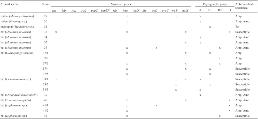 Table 2 - Virulence genes, phylogenetic grouping and antimicrobial resistance in E. coli strains isolated from free-ranging wild mammals from Santa Isabel do Rio Negro Region.