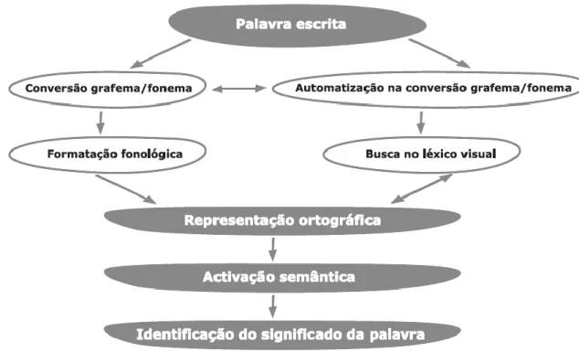Figura 1 - Processo de identificação do significado da palavra. De Sim-Sim (2009, p. 14)