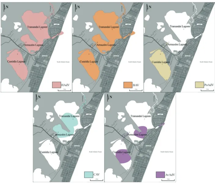 Figure 3 - Schematic representation of the distribution of human (HAdV), bovine (BAV), canine (CAV), avian (AvAdV) and porcine (PoAdV) adenovirus in the region studied.