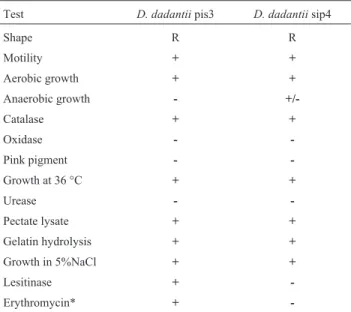 Table 1 - The results of morphological and biochemical characteristics of Dickeya spp.