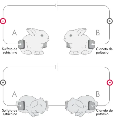 Figura 11: Experiência de Leduc: dois coelhos são colocados em cir- cir-cuito. Sob o pólo negativo, junto ao coelho “A”, é colocado sulfato de  estricnina; sob o pólo positivo, junto ao coelho “B”, é colocado cianeto  de potássio
