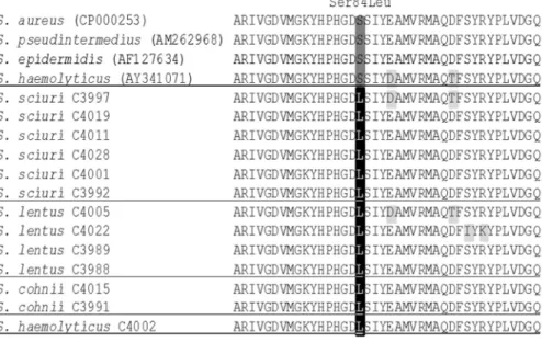 Figure 2 - Molecular evaluation of the quinolone resistance determining region (QRDR) of 13 quinolone- and methicillin-resistant staphylococci isolated from healthy swine in Nsukka, Nigeria, in addition to the QRDR of representative quinolone-susceptible S