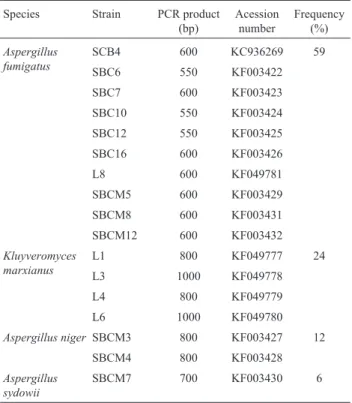 Table 1 - Molecular identification of fungi isolated from sugar cane ba- ba-gasse piles.