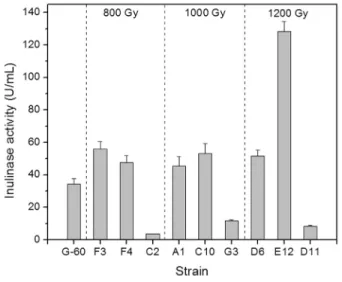 Figure 2 - Inulinase yield of parental strain G-60 and mutants after culti- culti-vation at 28 °C and 180 rpm for 60 h using the fermentation medium.